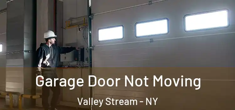  Garage Door Not Moving Valley Stream - NY