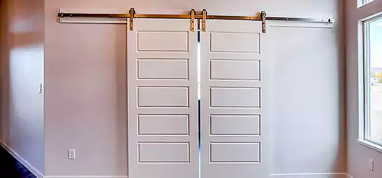 Glass Barn Door with Installation Hardware Kit Valley Stream